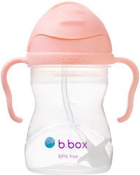 B.Box Εκπαιδευτικό Μπιμπερό για 6m+ 240ml