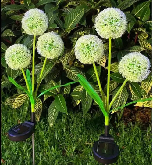 SLO25012 Set of 2 Stake Solar Lights Flowers IP44