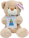 Plush Bear 25 cm