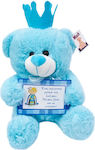 Plush Bear 28 cm