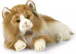 Rappa Plush Toy 25cm