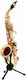 Startone Soprano Saxofon