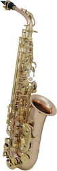 Roy Benson AS-202G Alto Saxophone