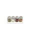 Luigi Ferrero Metallic Tabletop Spice Rack with Stand Silver 5pcs