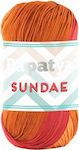 Papatya Synthetic Knitting Yarn 320m 100gr