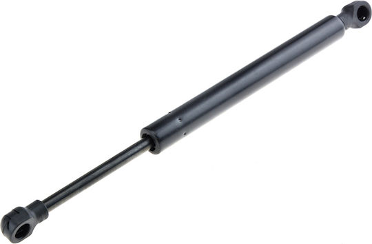 NTY Car Trunk Shock for Ford Focus