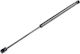 NTY Trunk Shock for Kia Sportage
