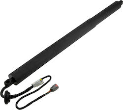 NTY Trunk Shock for Ford Edge