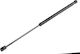 NTY Trunk Shock for Citroen C4