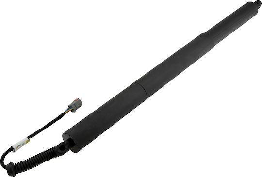 NTY Trunk Shock for Ford Edge