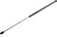 NTY Trunk Shock for Seat Leon