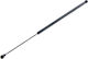 NTY Trunk Shock for Renault Espace
