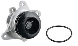 NTY Auto-Wasserpumpe für Opel Corsa / Vivaro Fiat Talento Mercedes-Benz Vito Renault Online-Shop / Fluence / Großartiger Szenischer / Kadjar / Koleos / Megane / Malerei / Talisman / Verkehr Volkswagen Polo Nissan NV300 / Qashqai / X-Trail