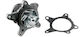 NTY Car Water Pump for Kia Carens / Ceed / Ceed Sportswagon / Cerato / Optima / ProCeed / Rio / Soul / Sportage / Venga / XCeed Hyundai Accent / Elantra / i20 / i30 / i40 / ix20 / iX35 / Kona / Tucson / Veloster