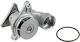 NTY Car Water Pump for Kia Ceed / Cerato / Picanto / Rio Hyundai Accent / Elantra / Getz / i30 / Matrix