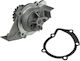 NTY Car Water Pump for Peugeot 205 / 306 / 309 / 405 / 406 / 806 / Expert / Partner Fiat 126 / Cinquecento / Ulysse Citroen Berlingo / BX / Evasion / Xantia / Xsara / ZX