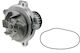 NTY Car Water Pump for Chrysler Grand Voyager / Voyager Jeep Cherokee / Wrangler Lancia Voyager Dodge Nitro