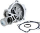 NTY Car Water Pump for Kia Magentis Hyundai Highway / Santa Fe / Sonata / Trajet