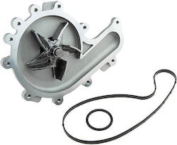 NTY Αντλία Νερού Αυτοκινήτου για Peugeot Boxer Fiat Ducato Citroen Jumper Ford Tourneo Custom / Transit / Transit Custom / Tourneo NTY Αντλία Νερού Αυτοκινήτου για Peugeot Boxer Fiat Ducato Citroen Jumper Ford Tourneo Custom / Transit / Transit Custom / Tourneo