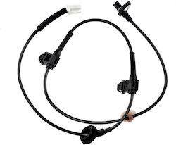 NTY ABS Sensor Zurück