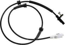 NTY ABS Sensor Rear NTY ABS Sensor Rear