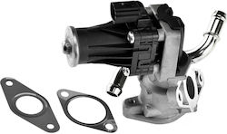 NTY Supapă EGR Motor de mașină pentru Peugeot Boxer Citroen Jumper Volkswagen Up Ford Ranger / Transit / Puma Mazda BT-50