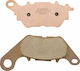 DP Brakes Τακάκια Μοτοσυκλέτας Πίσω
