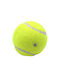Nunbell Pet Plastikball Hundespielzeug Braune 1Stück