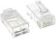 Autonics Connector