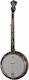 Ibanez Ibanez 5-Saiten Resonator
