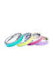 Theodora's Jewellery Set Damen Ringe Spinner aus Stahl Vergoldet