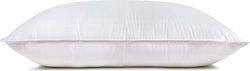 Hauz Sleep Pillow Cotton Soft 51x76cm