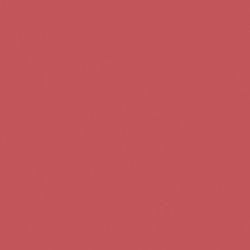 Piccadilly Kitchen Wall / Bathroom Matte Ceramic Tile 20x20cm Red