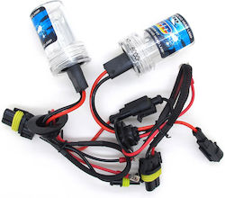 Factory Xenon Set de Iluminare H7 35W 12V 6000K Alb rece Factory Xenon Set de Iluminare H7 35W 12V 6000K Alb rece