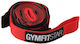 Yogistar Fitness Straps