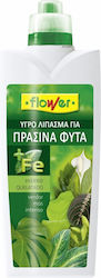 Flower Liquid Fertilizer Iron for Green Plants 1lt