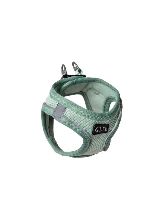 Glee Ham de câine Verde Mare 1065