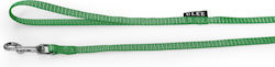Glee Dog Leash/Lead Strap Small in Green color