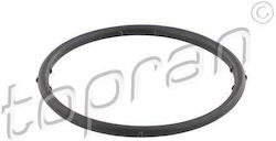 Topran Car Water Pump Gasket