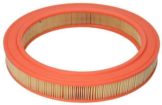 Filtron Luftfilter für Autos für BMW E30