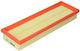 Filtron Car Air Filter for Chevrolet Express Ford Express Opel Vivaro Renault Clio / Espace / Kangoo / Express / Master / Megane / Scenic