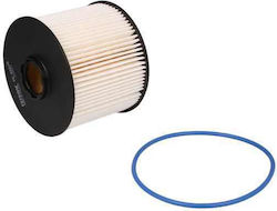 Filtron Gasoline Filter