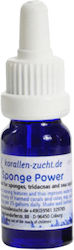 Korallen Zucht 10ml