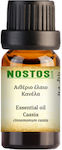 Nostos Pure Αιθέριο Έλαιο Κανέλα 5ml