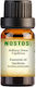 Nostos Pure Αιθέριο Έλαιο Γαρδένια 50ml