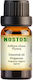 Nostos Pure Essential Oil Oregano 10ml