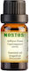 Nostos Pure Αιθέριο Έλαιο Grapefruit 10ml