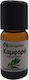 Biogalaxy Essential Oil Ho Wood 10ml