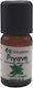 Biogalaxy Organic Essential Oil Oregano 10ml