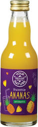 Your Organic Nature Βιολογικός Χυμός Ανανά 200ml